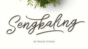 Sengkaling Script Font › Fontesk
