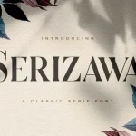 Serizawa Serif Font