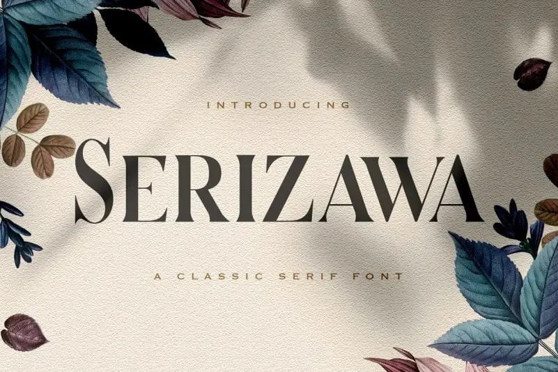 Serizawa Serif Font
