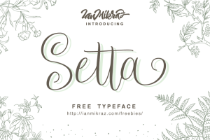 Setta Script Font
