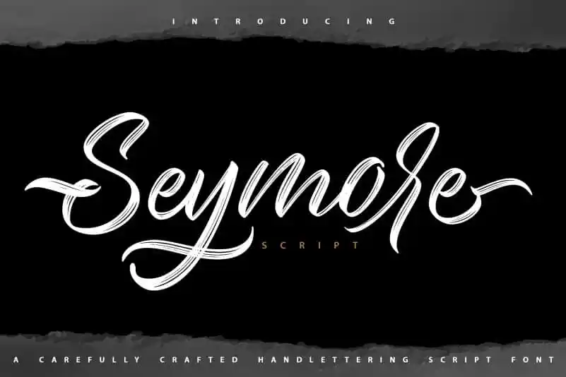 Seymore Brush Font