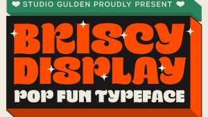 SG Briscy Font › Fontesk