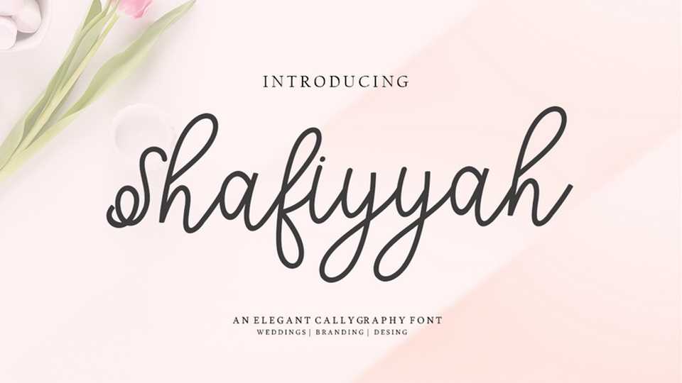 Shafiyyah Font › Fontesk