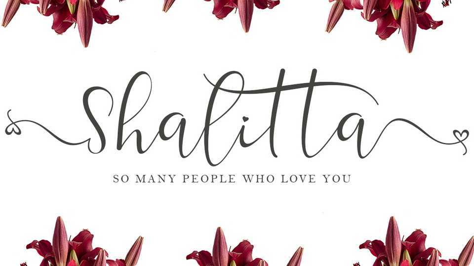 Shalitta Script Font › Fontesk