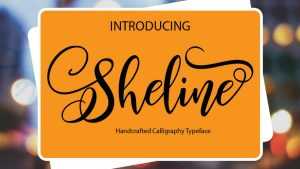 Sheline Script Font › Fontesk