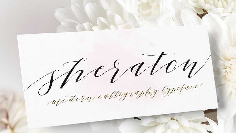 Sheraton Script Font › Fontesk