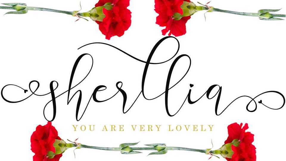 Sherllia Script Font › Fontesk
