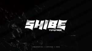 Shibe Font › Fontesk