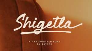 Shigetla Font › Fontesk