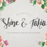 Shine & Tokio Typeface + BONUS