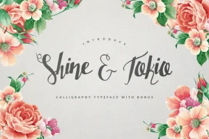 Shine & Tokio Typeface + BONUS