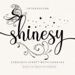 Shinesy Calligraphy Font