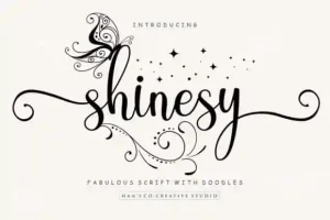 Shinesy Calligraphy Font