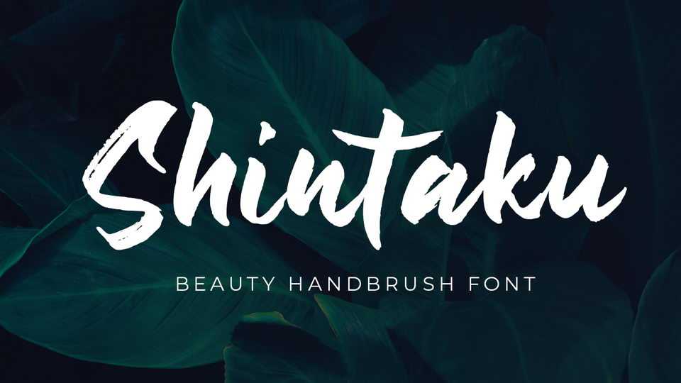 Shintaku Font › Fontesk