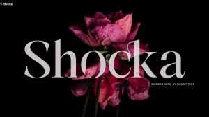 Shocka Serif Font › Fontesk