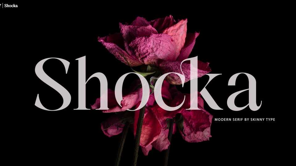 Shocka Serif Font › Fontesk