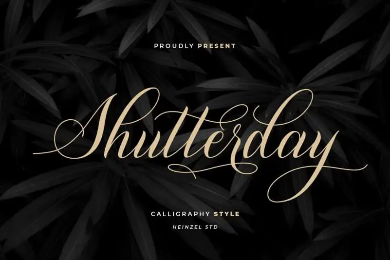 Shutterday Calligraphy Font
