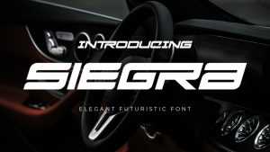 Siegra Font › Fontesk