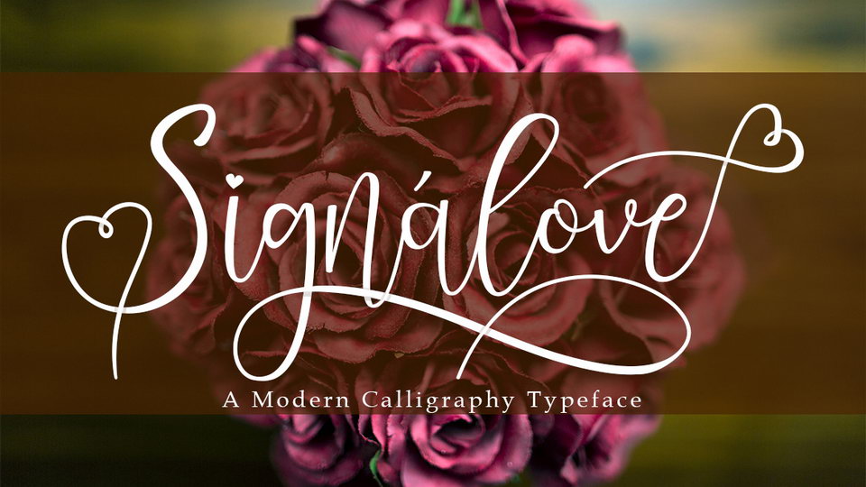 Signalove Script Font › Fontesk