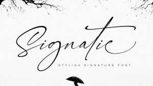 Signatie Script Font › Fontesk