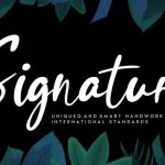 Signature Handwritten Font