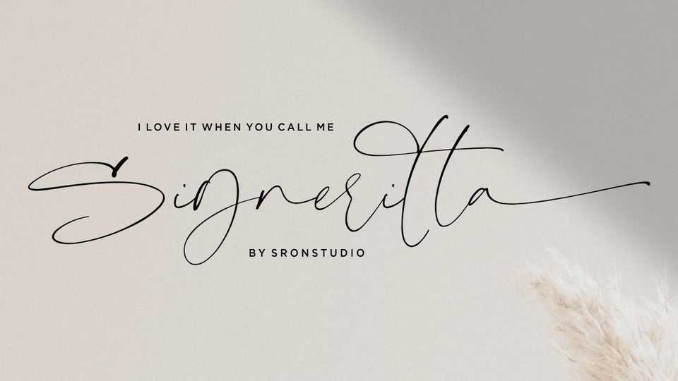 Signeritta Script Font › Fontesk