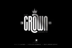 Silver Crown - Condensend Font