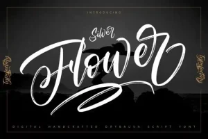 Silver Flower Brush Font