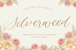 Silverweed Beautiful Calligraphy Script Font
