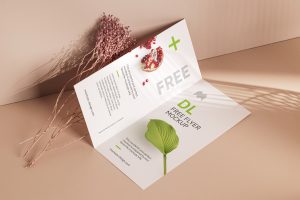 Simple DL bi fold flyer mockup