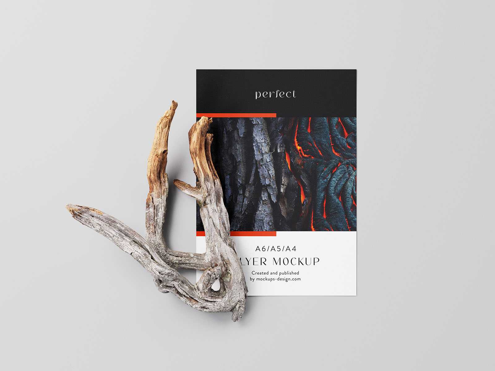 Single A4 flyer with dry branch mockup - Instant Download