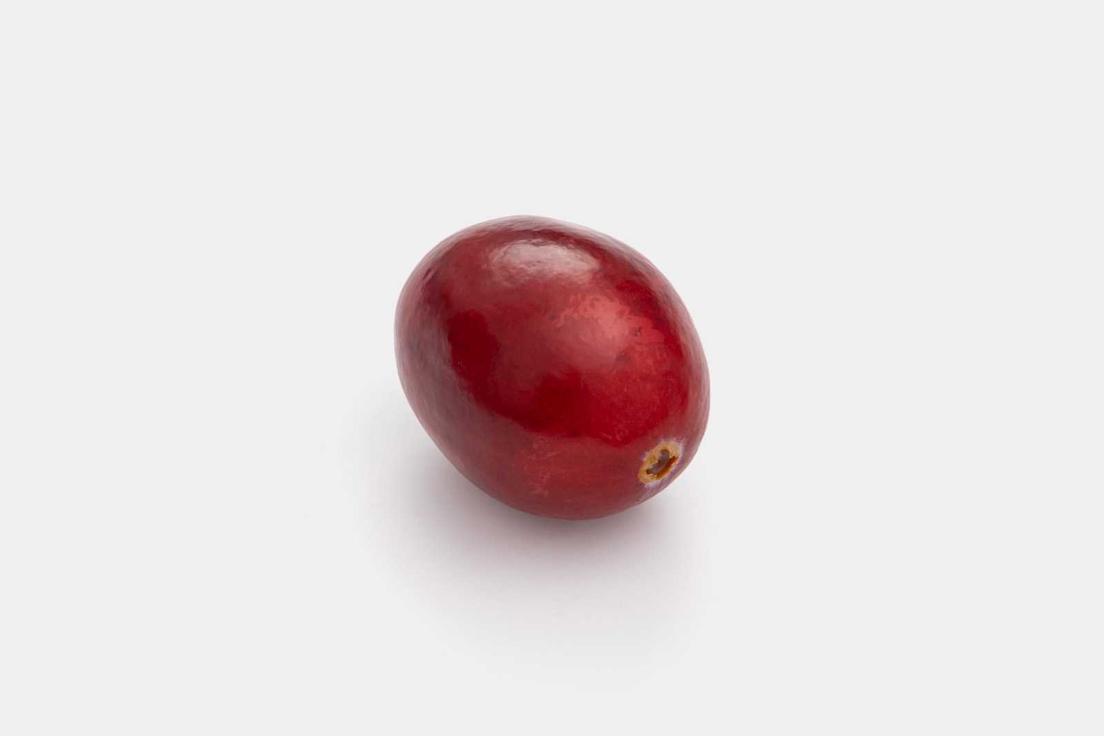 Single cranberry image
