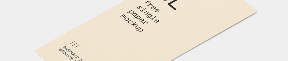 Single DL flyer mockup