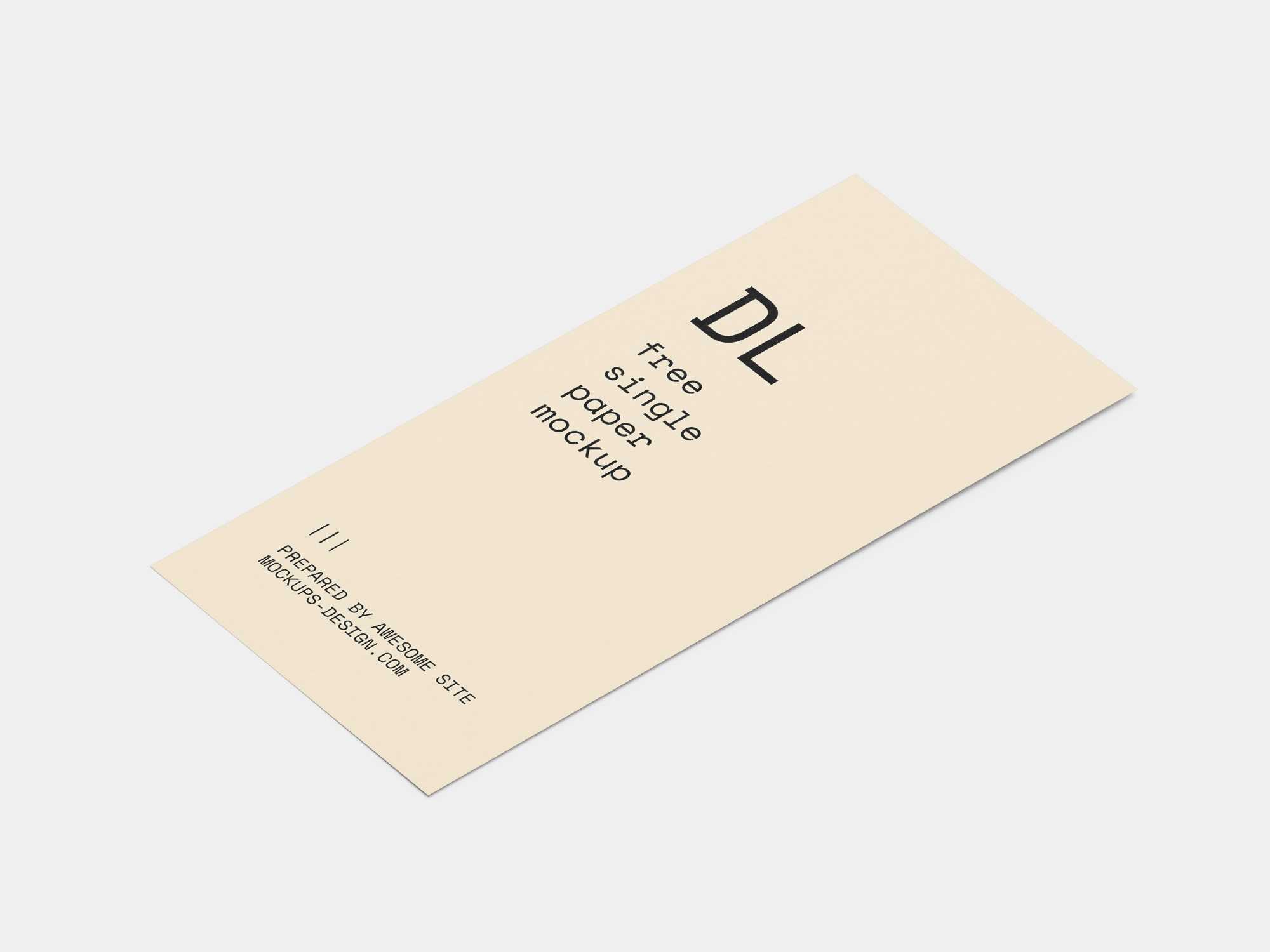 Single DL flyer mockup