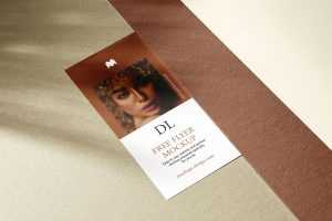 Single DL flyer with some cardboard mockup