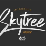 Skytree Typeface
