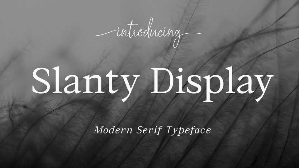 Slanty Display Font › Fontesk