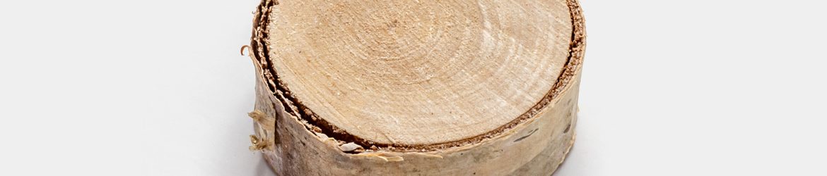 Sliced wood graphic