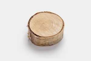 Sliced wood graphic