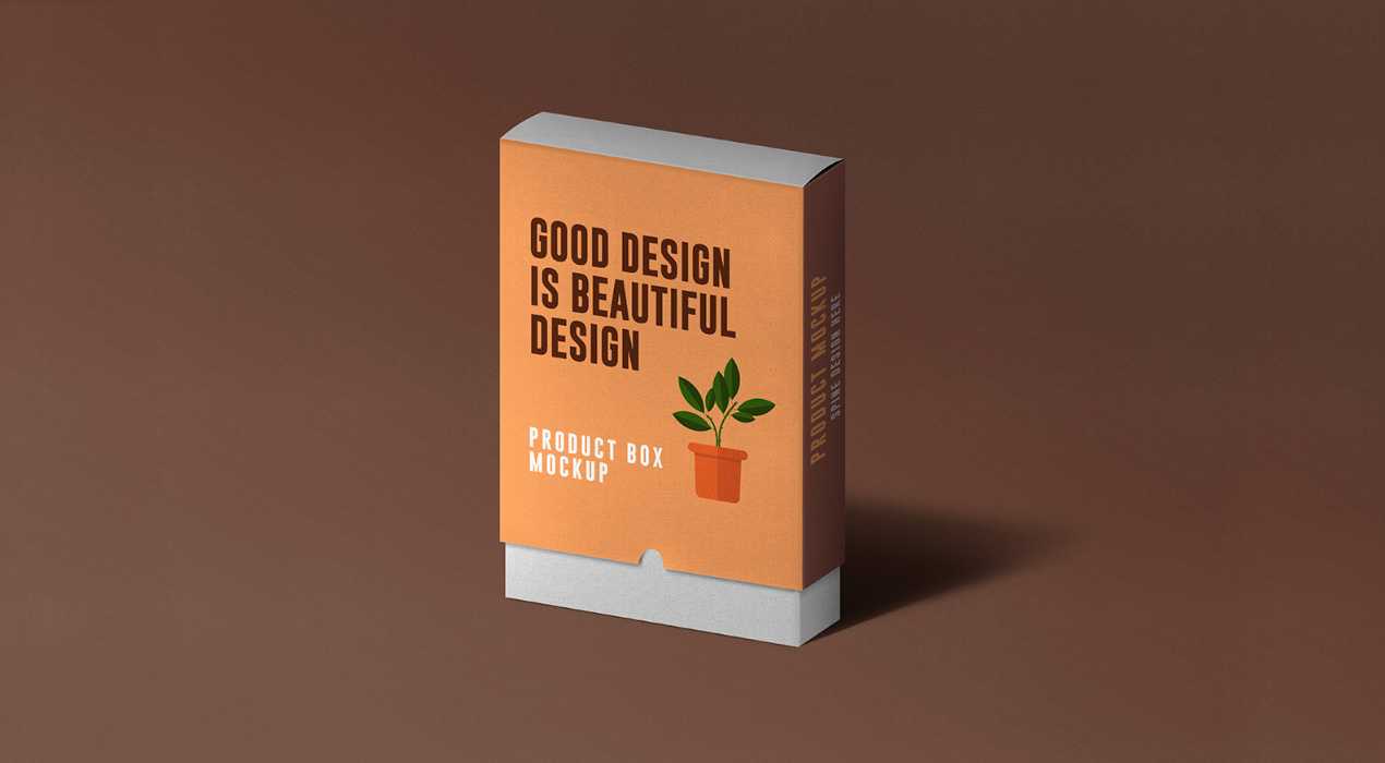 Slide Product Box Mockup