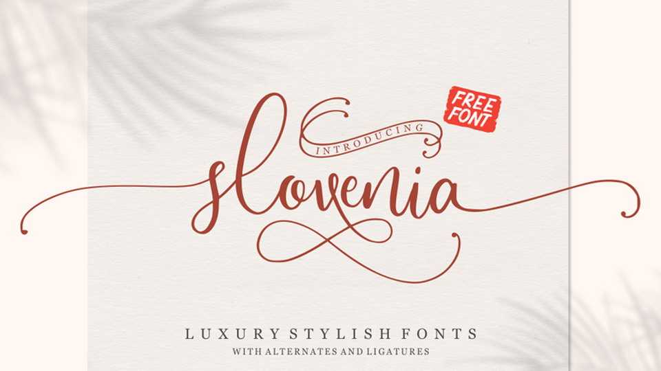 Slovenia Script Font › Fontesk