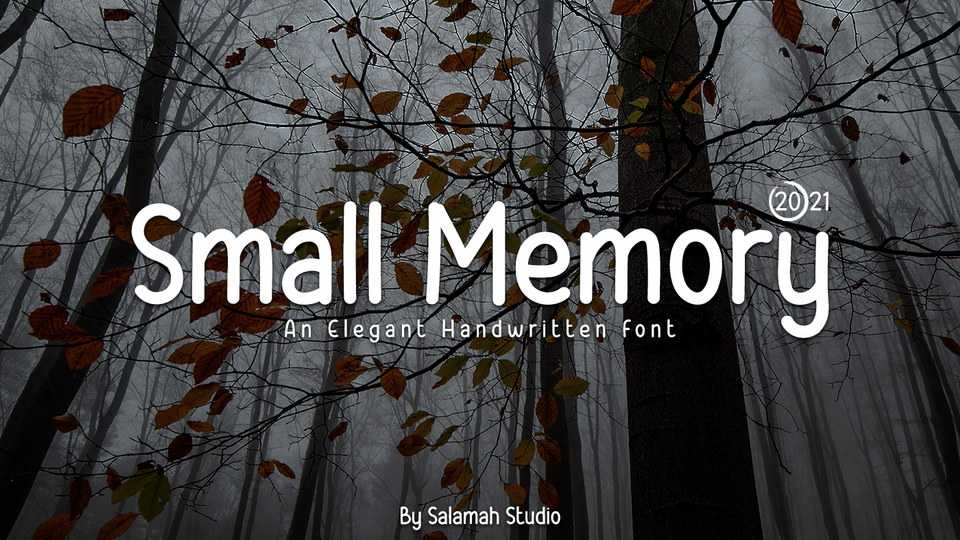 Small Memory Font › Fontesk