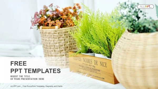 Small plant pot displayed PowerPoint Templates