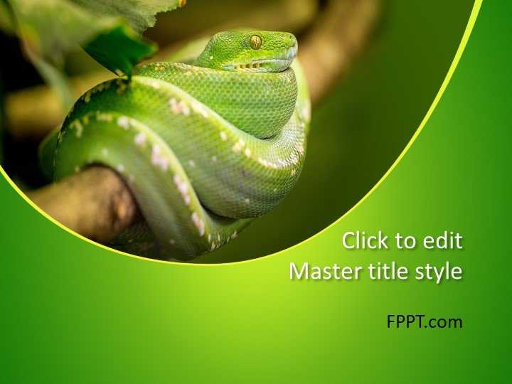 Snake PowerPoint Template