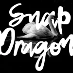 Snap Dragon Script Font