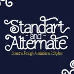 Solecha Rough Typeface