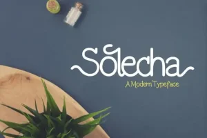 Solecha Typeface