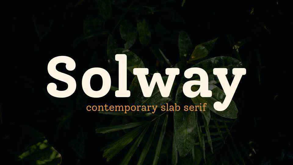Solway Font Family › Fontesk