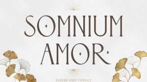 Somnium Amor Font › Fontesk