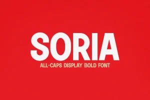 Soria Sans Serif Font